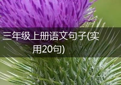 三年级上册语文句子(实用20句)