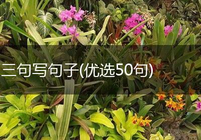三句写句子(优选50句)