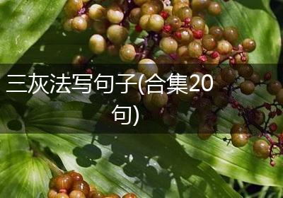 三灰法写句子(合集20句)