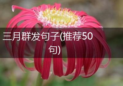 三月群发句子(推荐50句)