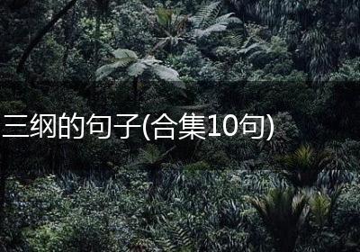 三纲的句子(合集10句)