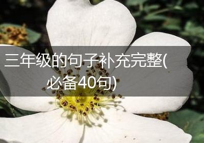 三年级的句子补充完整(必备40句)