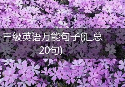 三级英语万能句子(汇总20句)