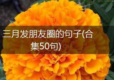 三月发朋友圈的句子(合集50句)