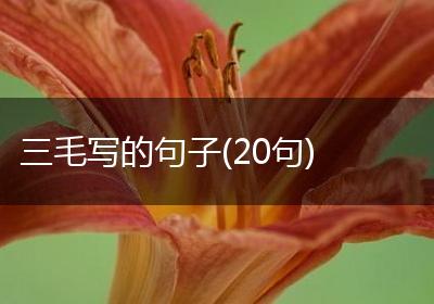 三毛写的句子(20句)