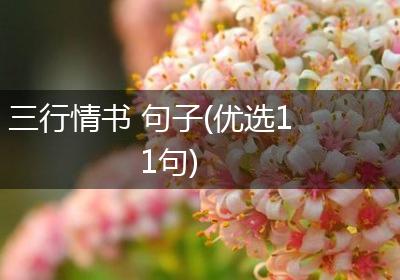三行情书 句子(优选11句)