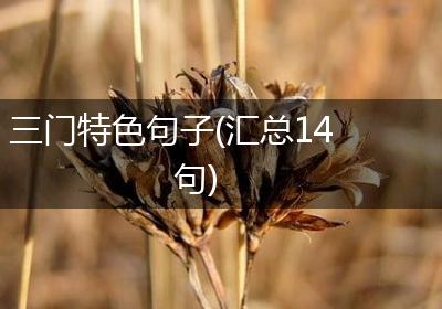 三门特色句子(汇总14句)