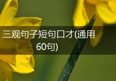 三观句子短句口才(通用60句)