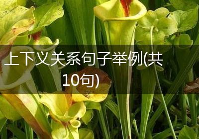 上下义关系句子举例(共10句)