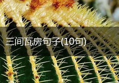 三间瓦房句子(10句)