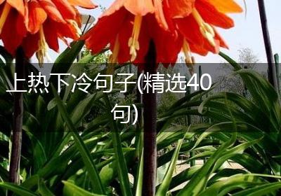 上热下冷句子(精选40句)