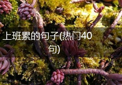 上班累的句子(热门40句)