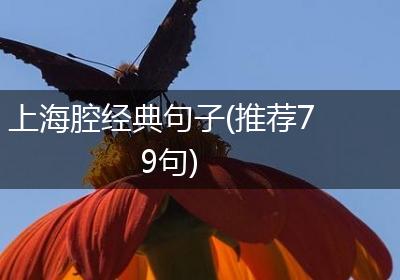 上海腔经典句子(推荐79句)
