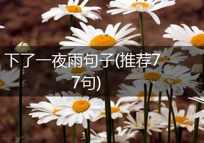 下了一夜雨句子(推荐77句)