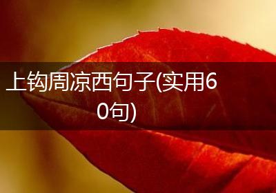上钩周凉西句子(实用60句)