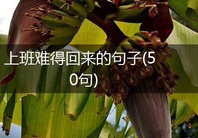 上班难得回来的句子(50句)