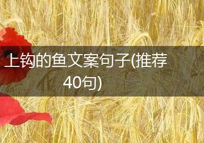 上钩的鱼文案句子(推荐40句)