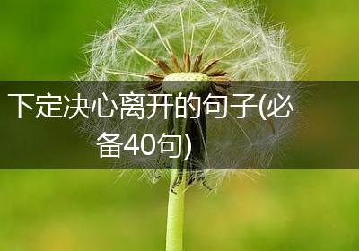 下定决心离开的句子(必备40句)