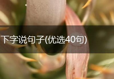 下字说句子(优选40句)