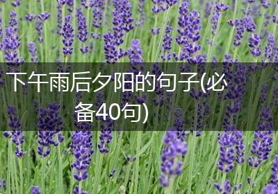 下午雨后夕阳的句子(必备40句)