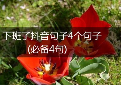 下班了抖音句子4个句子(必备4句)