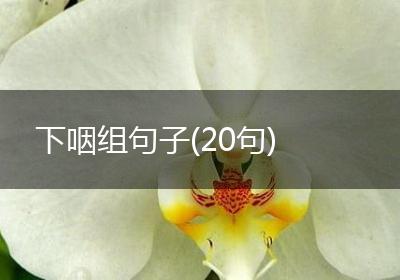 下咽组句子(20句)