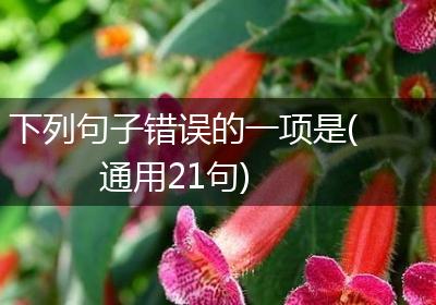 下列句子错误的一项是(通用21句)
