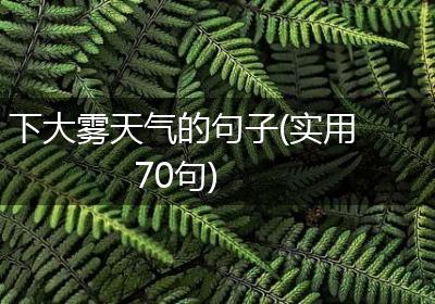 下大雾天气的句子(实用70句)