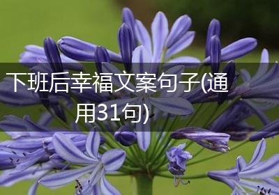 下班后幸福文案句子(通用31句)