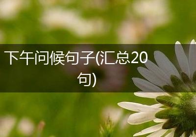 下午问候句子(汇总20句)