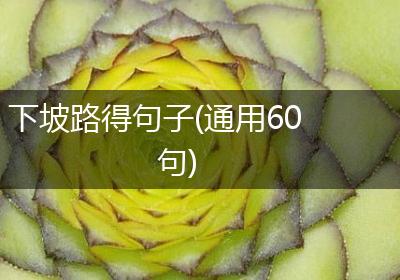 下坡路得句子(通用60句)