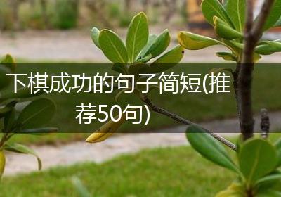 下棋成功的句子简短(推荐50句)