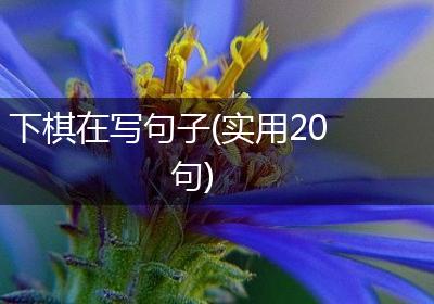 下棋在写句子(实用20句)