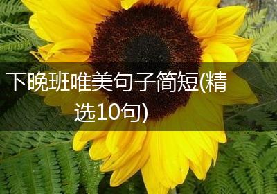下晚班唯美句子简短(精选10句)