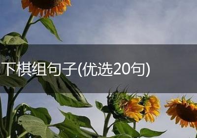 下棋组句子(优选20句)