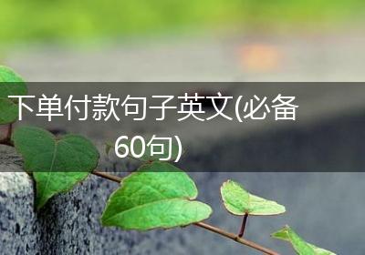 下单付款句子英文(必备60句)