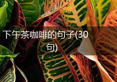 下午茶咖啡的句子(30句)