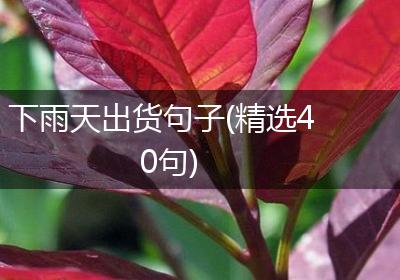 下雨天出货句子(精选40句)