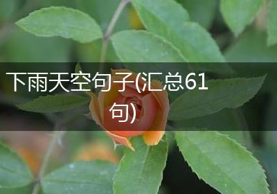 下雨天空句子(汇总61句)