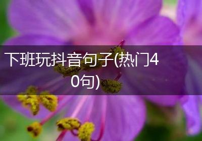 下班玩抖音句子(热门40句)