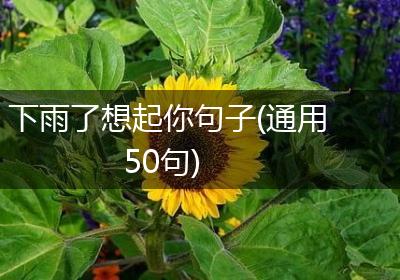 下雨了想起你句子(通用50句)