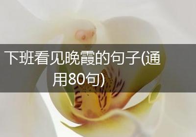 下班看见晚霞的句子(通用80句)