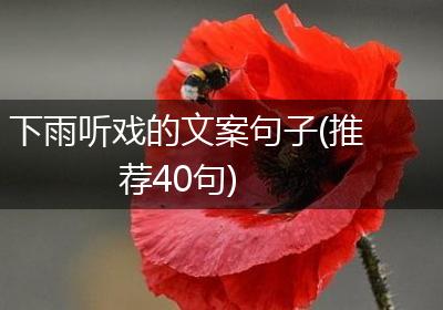 下雨听戏的文案句子(推荐40句)