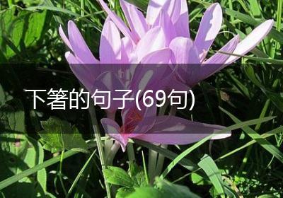 下箸的句子(69句)