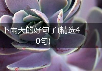 下雨天的好句子(精选40句)