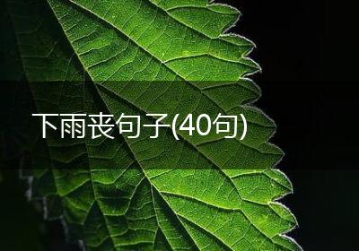 下雨丧句子(40句)