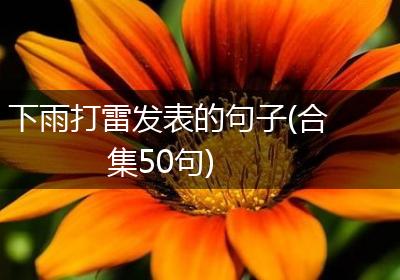 下雨打雷发表的句子(合集50句)