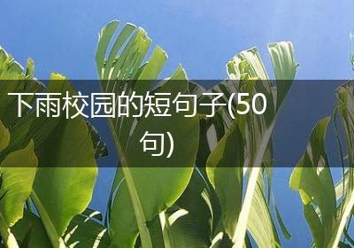 下雨校园的短句子(50句)