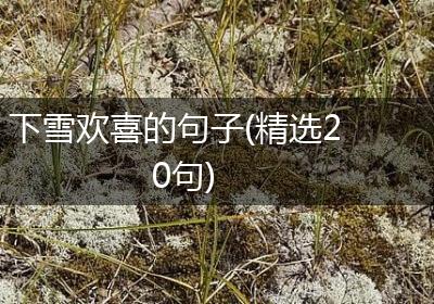 下雪欢喜的句子(精选20句)