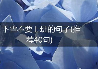 下雪不要上班的句子(推荐40句)